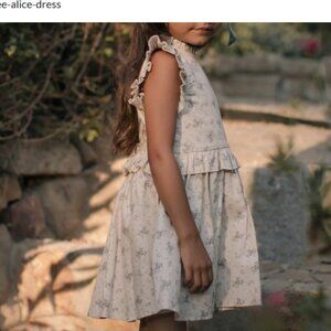 Noralee Alice dress in Blue Floral NWT Size 2